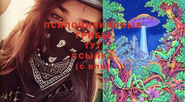 твердый Абинск